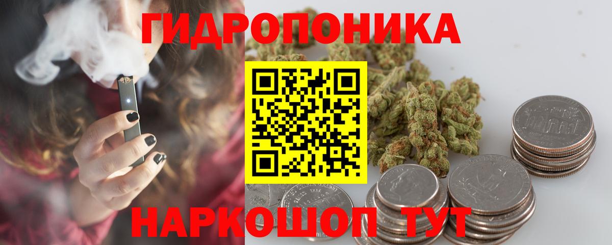 Конопля гибрид Мирный